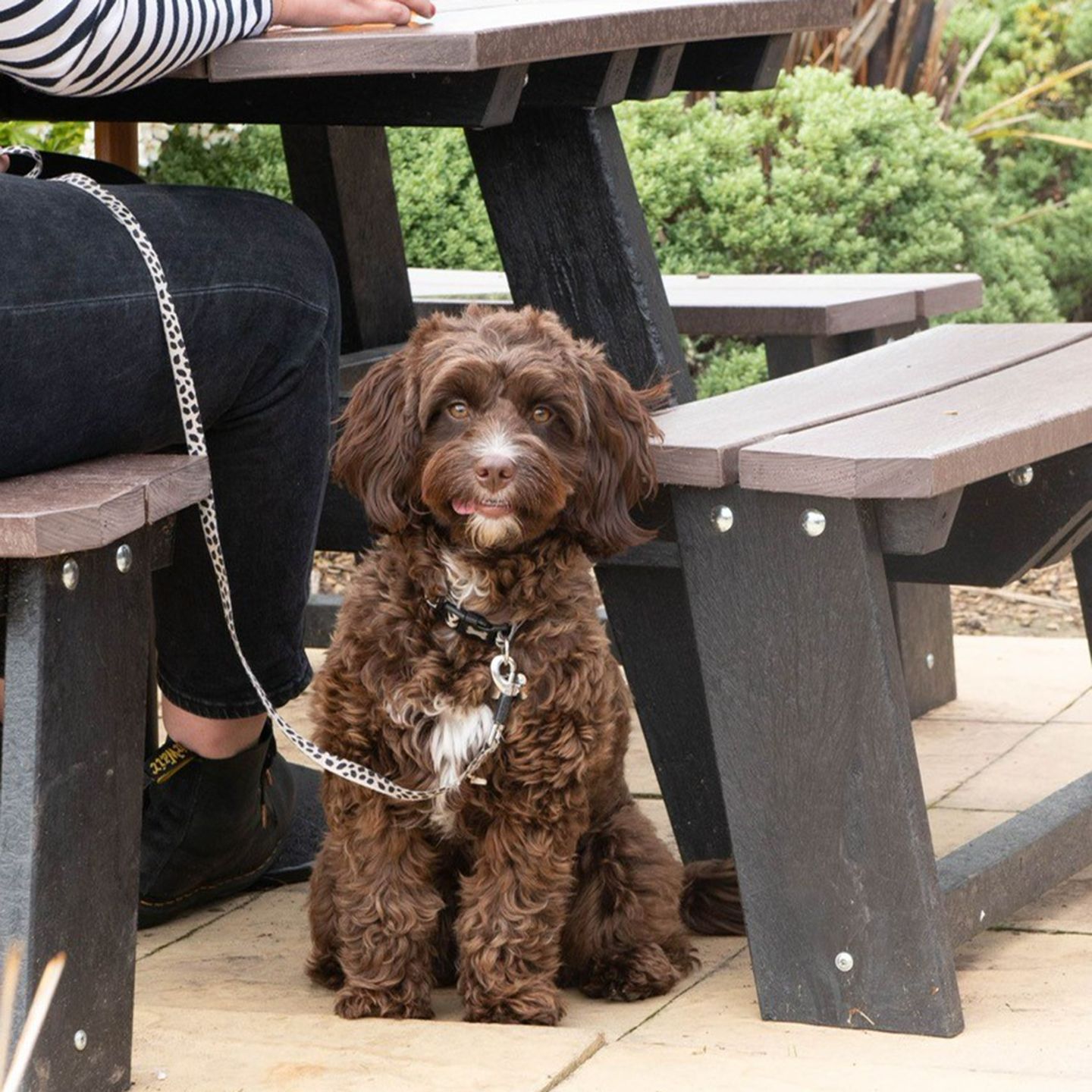 Your local dog friendly pub in Ellesmere Port